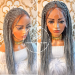 Unveiling the Elegance: The Allure of Braided Wigs
