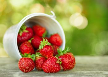 A Guide to Storing Fresh Berries in Canning Jars