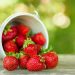 A Guide to Storing Fresh Berries in Canning Jars