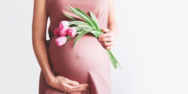 Empowering Maternal Wellness: A Comprehensive Exploration of Prenatal Care in Singapore