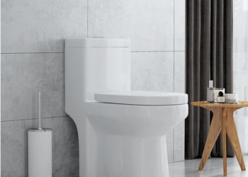 How to Upgrade Your Bathroom with a One Piece Toilet