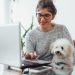WFH Survival Guide: How to Keep Your Dog Busy While You Work From Home